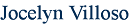 Jocelyn Villoso Info Text