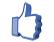 Visit Our FaceBook Page and Like us link